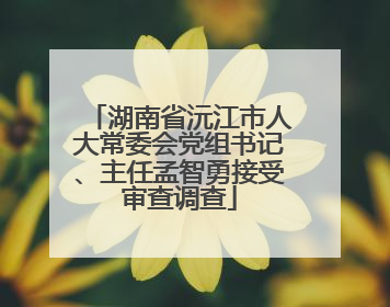 湖南省沅江市人大常委会党组书记、主任孟智勇接受审查调查