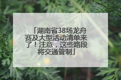 湖南省38场龙舟赛及大型活动清单来了！注意，这些路段将交通管制