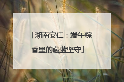湖南安仁：端午粽香里的藏蓝坚守