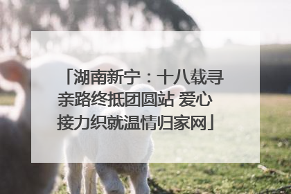 湖南新宁：十八载寻亲路终抵团圆站 爱心接力织就温情归家网