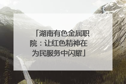 湖南有色金属职院：让红色精神在为民服务中闪耀