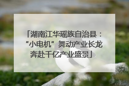 湖南江华瑶族自治县：“小电机”舞动产业长龙 奔赴千亿产业盛景