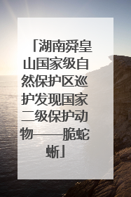 湖南舜皇山国家级自然保护区巡护发现国家二级保护动物——脆蛇蜥