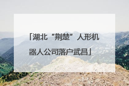 湖北“荆楚”人形机器人公司落户武昌