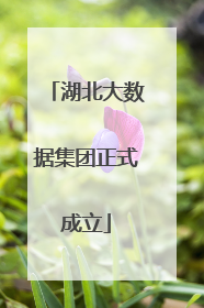 湖北大数据集团正式成立