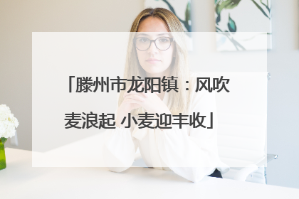 滕州市龙阳镇：风吹麦浪起 小麦迎丰收
