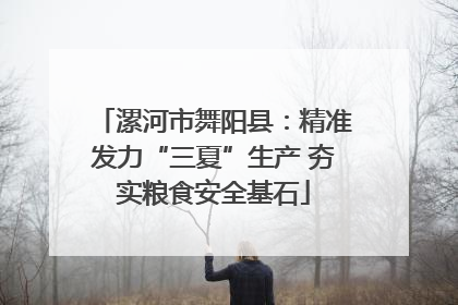 漯河市舞阳县：精准发力“三夏”生产 夯实粮食安全基石