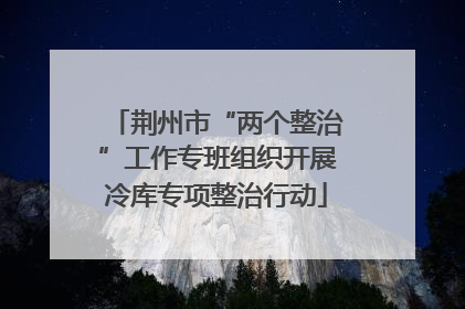 荆州市“两个整治”工作专班组织开展冷库专项整治行动