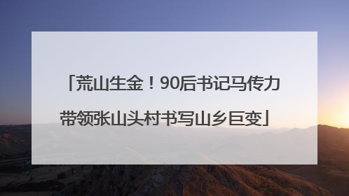 荒山生金！90后书记马传力带领张山头村书写山乡巨变