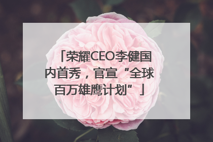 荣耀CEO李健国内首秀，官宣“全球百万雄鹰计划”