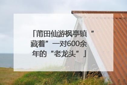 莆田仙游枫亭镇“藏着”一对600余年的“老龙头”