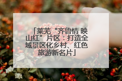 莱芜“齐鲁情 映山红”片区：打造全域景区化乡村、红色旅游新名片