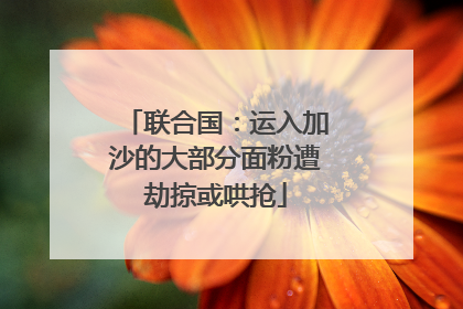 联合国：运入加沙的大部分面粉遭劫掠或哄抢