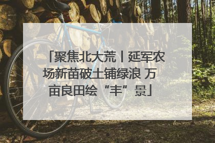 聚焦北大荒丨延军农场新苗破土铺绿浪 万亩良田绘“丰”景