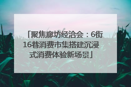 聚焦廊坊经洽会：6街16巷消费市集搭建沉浸式消费体验新场景