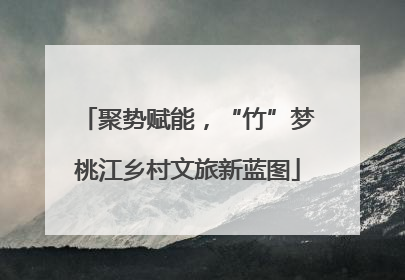 聚势赋能，“竹”梦桃江乡村文旅新蓝图