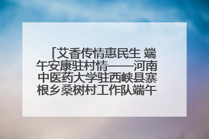 艾香传情惠民生 端午安康驻村情——河南中医药大学驻西峡县寨根乡桑树村工作队端午中医惠民记