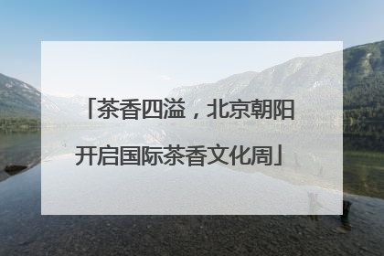 茶香四溢，北京朝阳开启国际茶香文化周