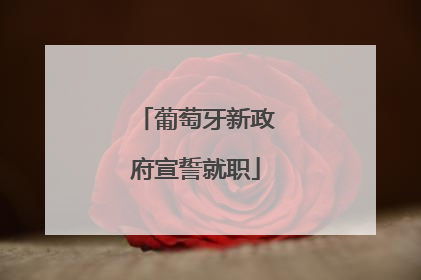 葡萄牙新政府宣誓就职