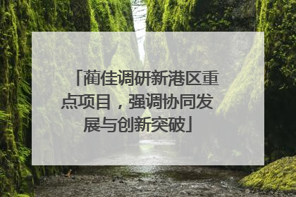 蔺佳调研新港区重点项目，强调协同发展与创新突破