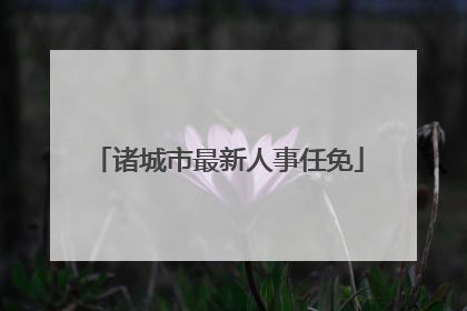 诸城市最新人事任免