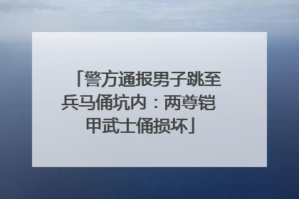 警方通报男子跳至兵马俑坑内：两尊铠甲武士俑损坏