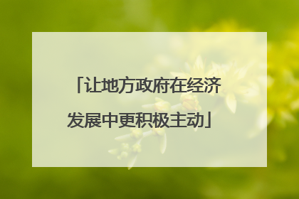 让地方政府在经济发展中更积极主动