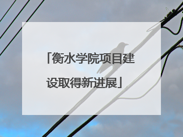 衡水学院项目建设取得新进展