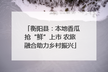 衡阳县：本地香瓜抢“鲜”上市 农旅融合助力乡村振兴