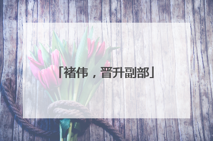 褚伟，晋升副部