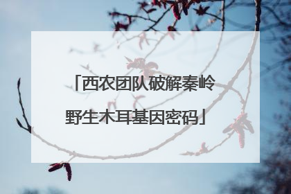 西农团队破解秦岭野生木耳基因密码
