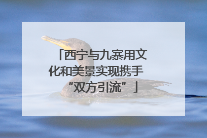 西宁与九寨用文化和美景实现携手“双方引流”