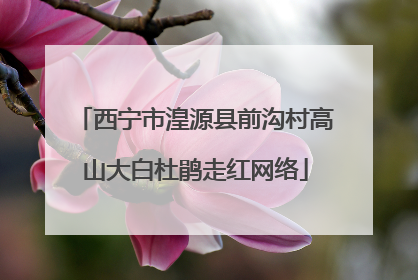 西宁市湟源县前沟村高山大白杜鹃走红网络
