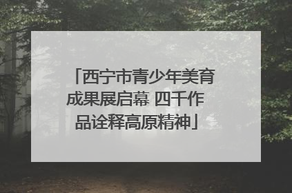 西宁市青少年美育成果展启幕 四千作品诠释高原精神