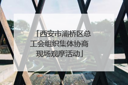 西安市灞桥区总工会组织集体协商现场观摩活动