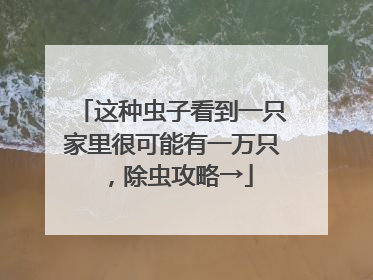 这种虫子看到一只家里很可能有一万只，除虫攻略→