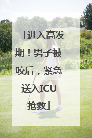 进入高发期！男子被咬后，紧急送入ICU抢救