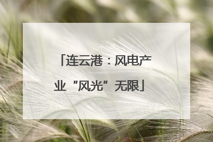 连云港：风电产业“风光”无限