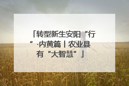 转型新生安阳“行”·内黄篇丨农业县有“大智慧”