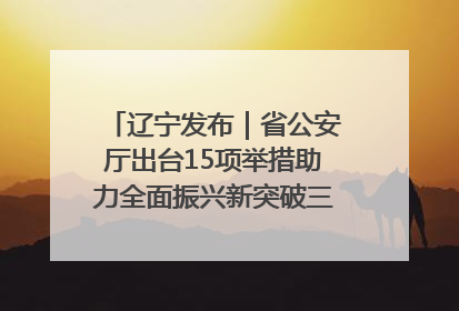 辽宁发布｜省公安厅出台15项举措助力全面振兴新突破三年行动决胜之战