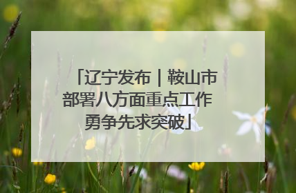 辽宁发布｜鞍山市部署八方面重点工作勇争先求突破