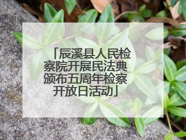 辰溪县人民检察院开展民法典颁布五周年检察开放日活动