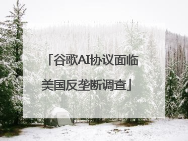 谷歌AI协议面临美国反垄断调查