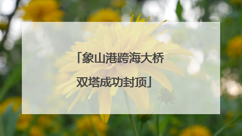 象山港跨海大桥双塔成功封顶