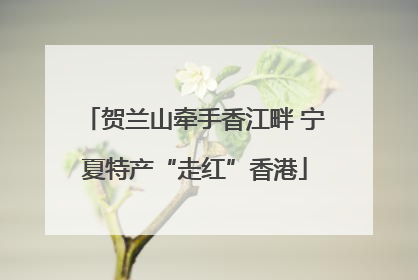 贺兰山牵手香江畔 宁夏特产“走红”香港