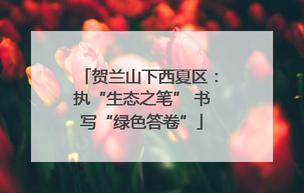 贺兰山下西夏区：执“生态之笔” 书写“绿色答卷”