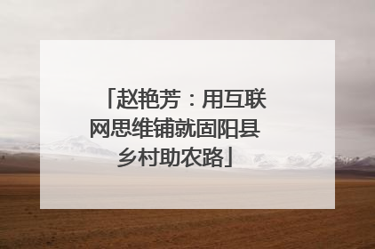 赵艳芳：用互联网思维铺就固阳县乡村助农路