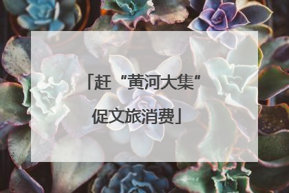 赶“黄河大集” 促文旅消费