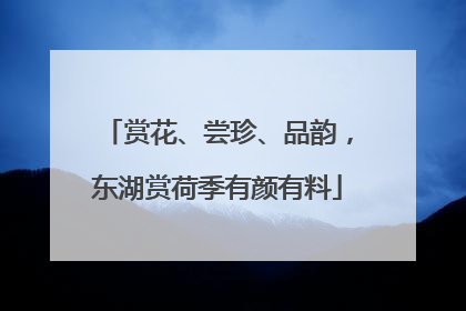 赏花、尝珍、品韵，东湖赏荷季有颜有料