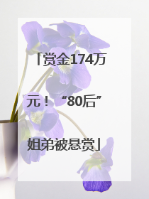 赏金174万元！“80后”姐弟被悬赏